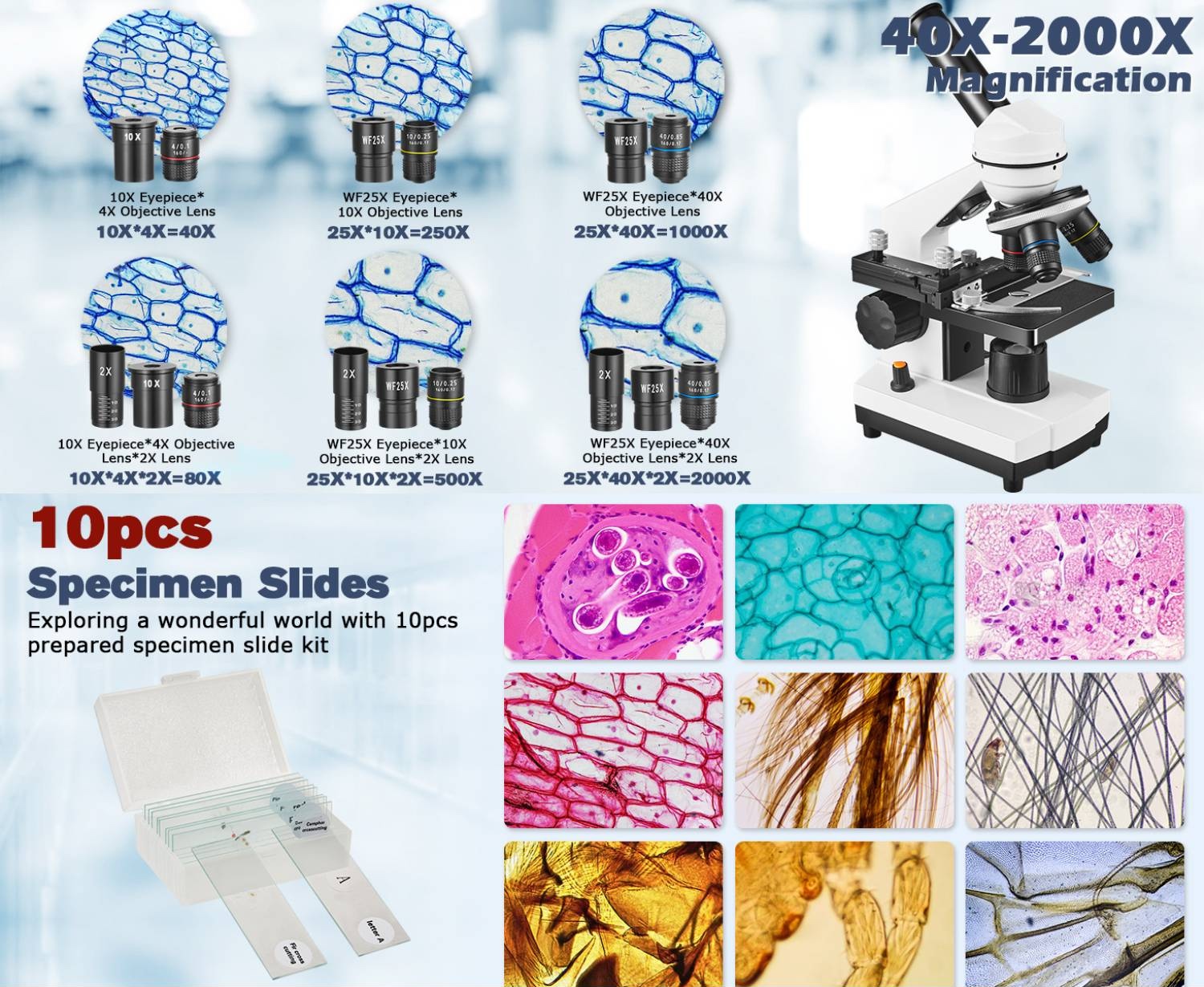 buy beginner microscope kit