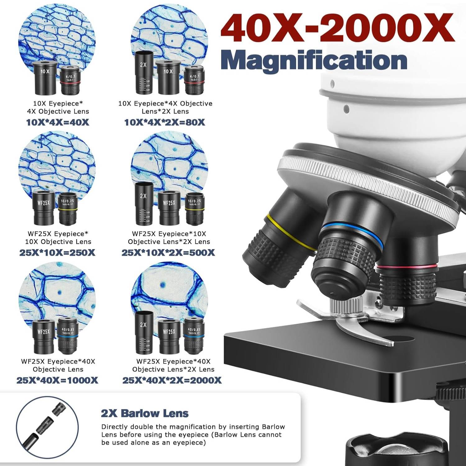 Kids Microscope Kit: image 2