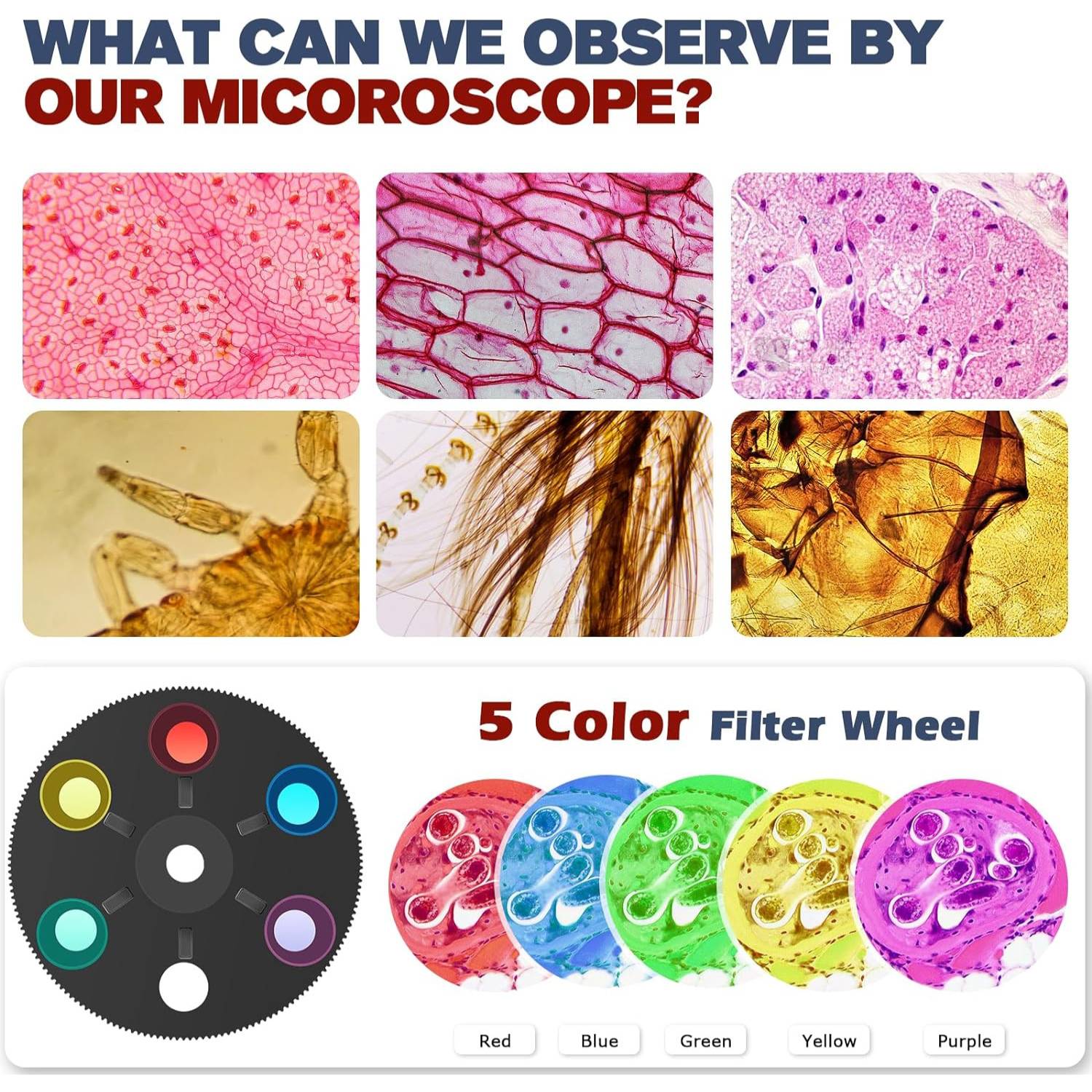 Kids Microscope Kit: image 6